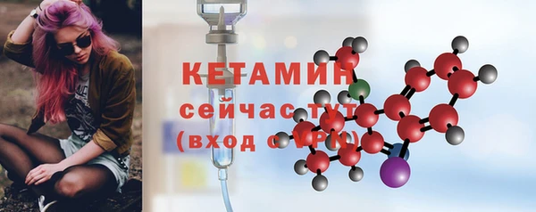 круглые Гусев