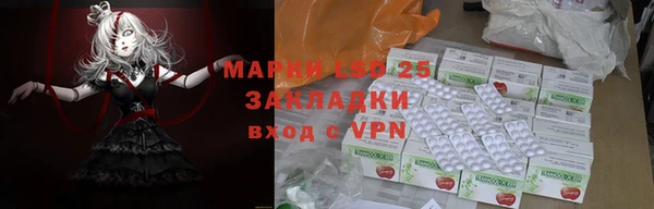 гидра Горнозаводск