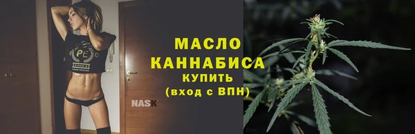 гидра Горнозаводск