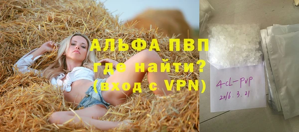 круглые Гусев