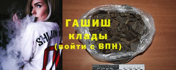 гидра Горнозаводск