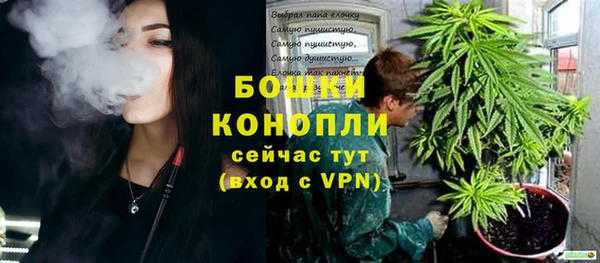 круглые Гусев