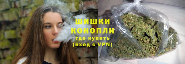 гидропоника Гусиноозёрск