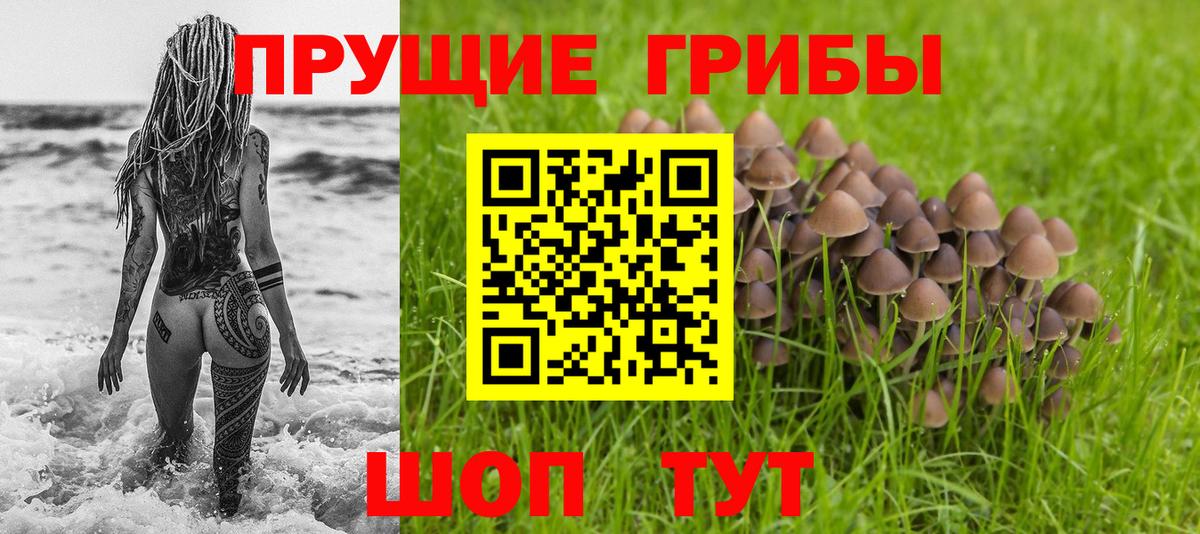Псилоцибиновые грибы GOLDEN TEACHER Донецк