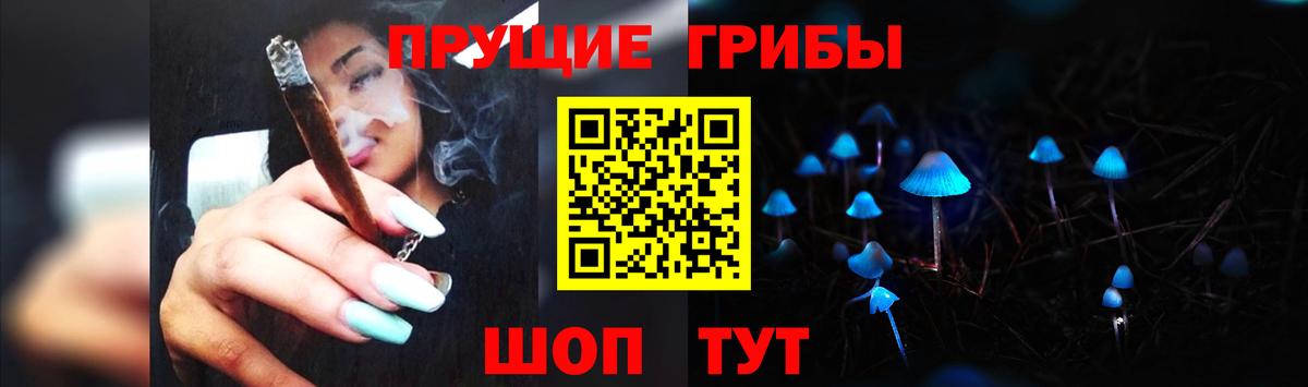 Псилоцибиновые грибы Psilocybine cubensis  Донецк  Псилоцибиновые грибы мицелий 